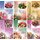 100 Glückwunschkarten zum Geburtstag Blumen 51-0175 Geburtstagskarte Grußkarte