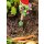 Krabbelkäfer Gartenhandschuhe für Kinder, 2 Handschuhe mit süßem Marienkäfer Design, genoppte Innenflächen & elastisches Bündchen, waschbar bei 30°